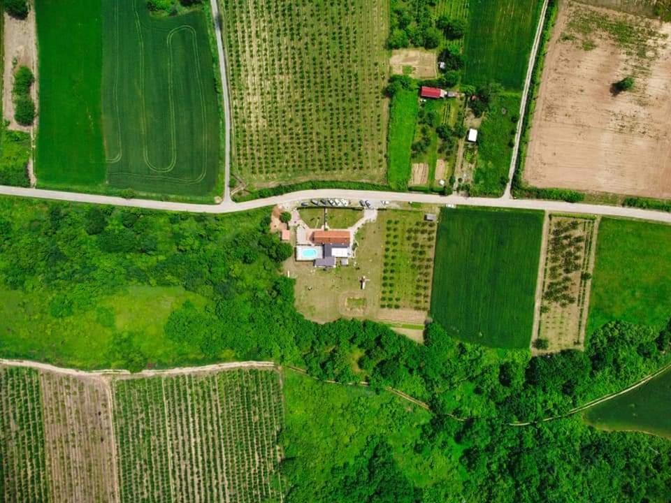 Fruska Villa Sremski Karlovci Eksteriør bilde